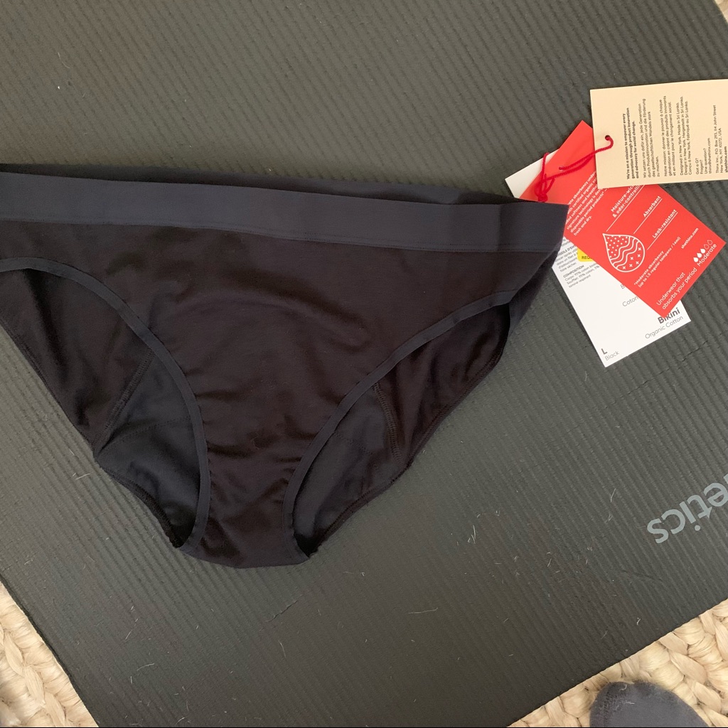 Nwt Thinx Bikini Panties